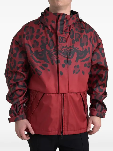 Dolce & Gabbana leopard-print tiger-eye jacket