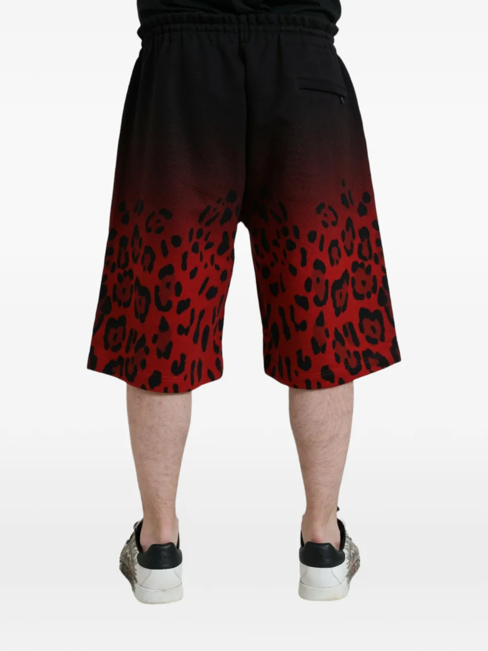 Dolce & Gabbana Ombré shorts met luipaardprint Zwart