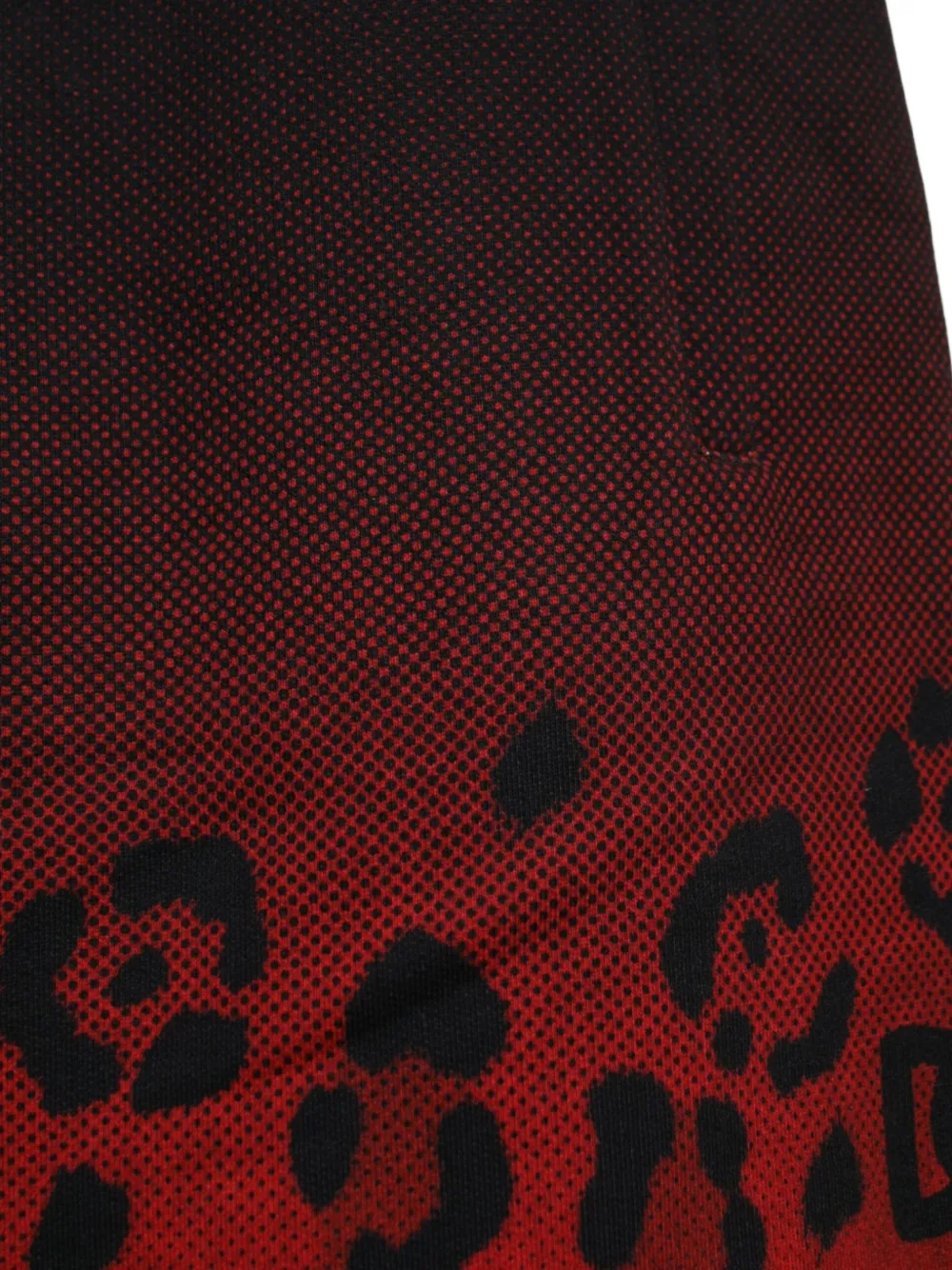 Dolce & Gabbana Ombré shorts met luipaardprint Zwart