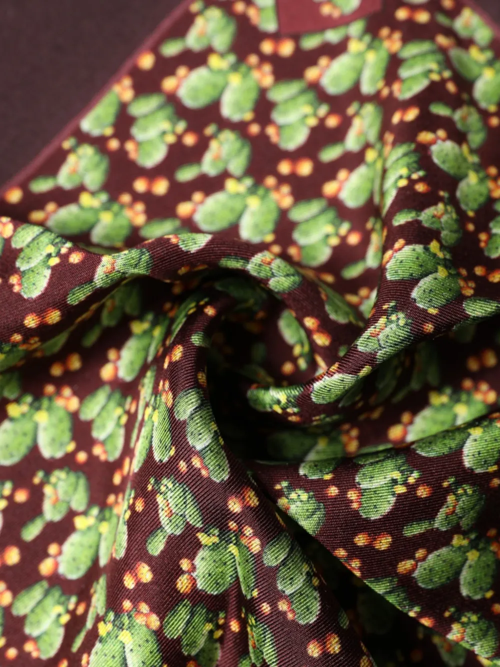 Dolce & Gabbana Zakdoek met cactusprint Bruin