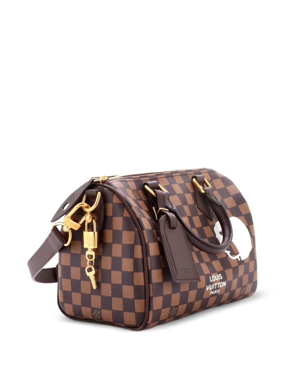 Louis Vuitton Pre-Owned Speedy Bandouliere Bag Damier Phriendship Canvas 25 satchel - Marrone