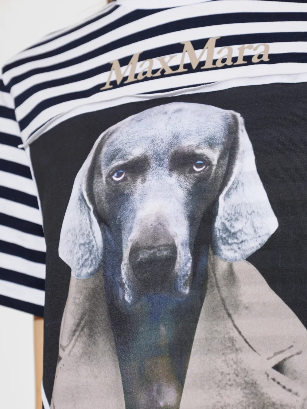 Max Mara Gestreepte T-shirt met grafische print Blauw