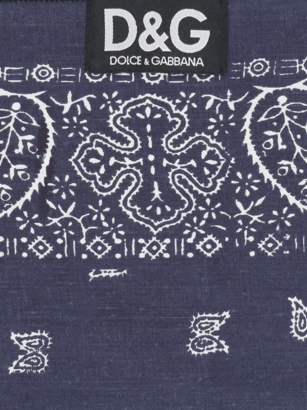 Dolce & Gabbana Sjaal met paisley-print Blauw