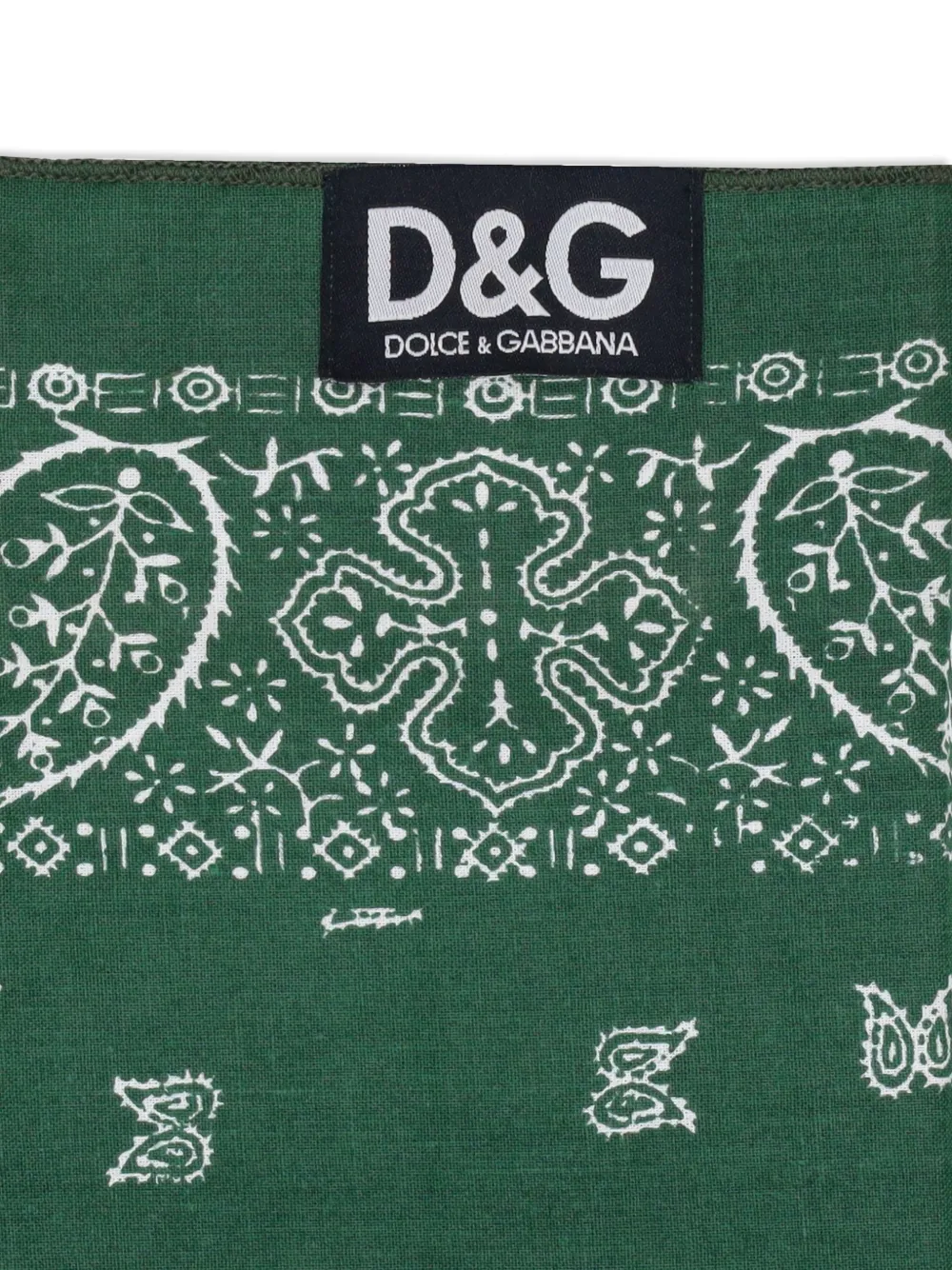 Dolce & Gabbana Sjaal met paisley-print Groen