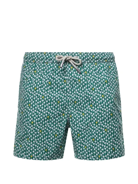 MC2 Saint Barth bañador con palmera estampada