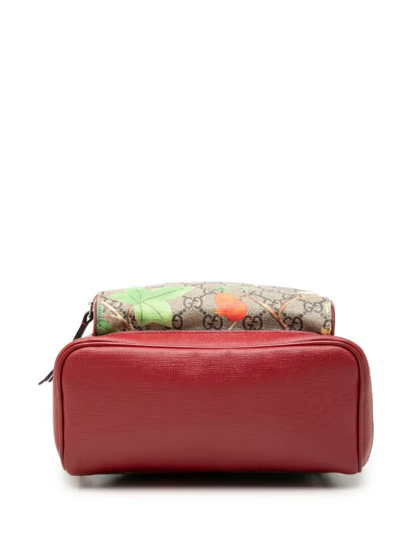 Gucci Pre-Owned 2000-2015 スモール GGスプリーム ウェブ ティアン 