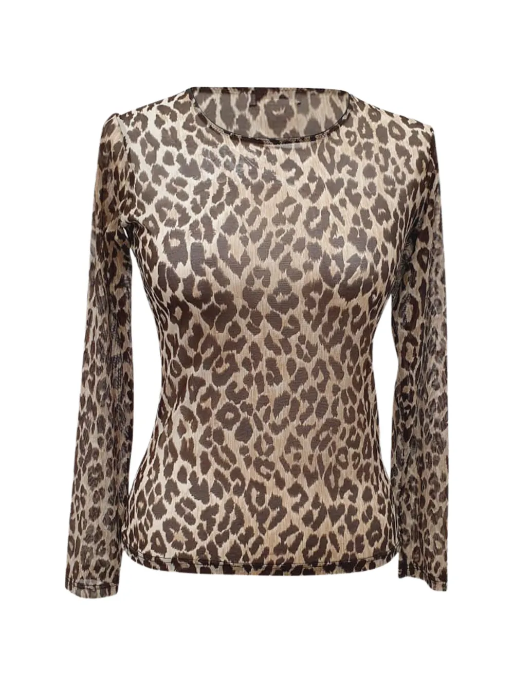 Dolce & Gabbana Pre-Owned leopard-print long-sleeve top - Marrone