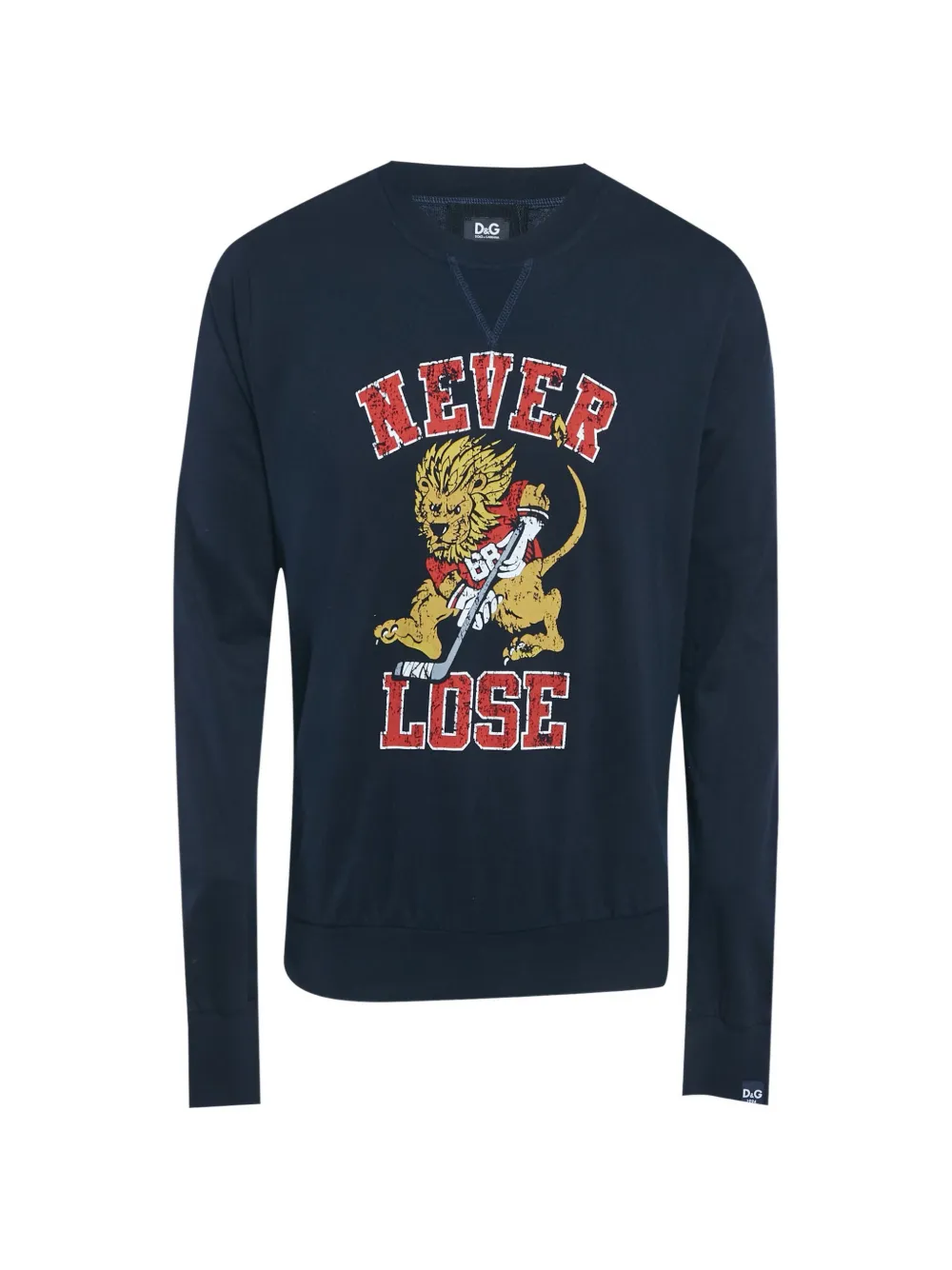 Dolce & Gabbana Pre-Owned lion-print long-sleeve sweater - Blu