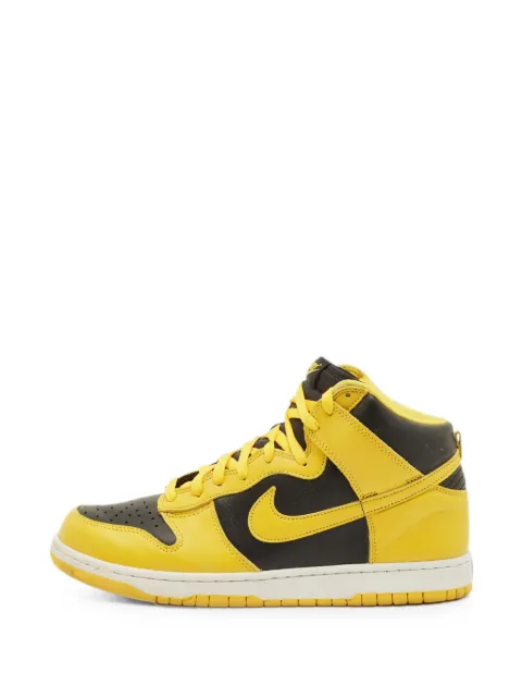 Nike Vintage Dunk Iowa sneakers