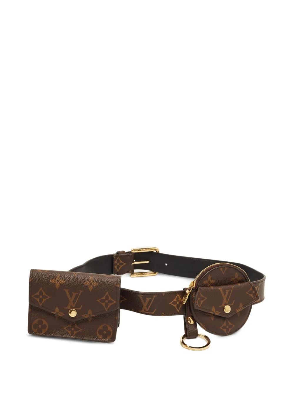 Louis Vuitton Pre-Owned 2019 Daily Multi monogram belt bag - Marrone