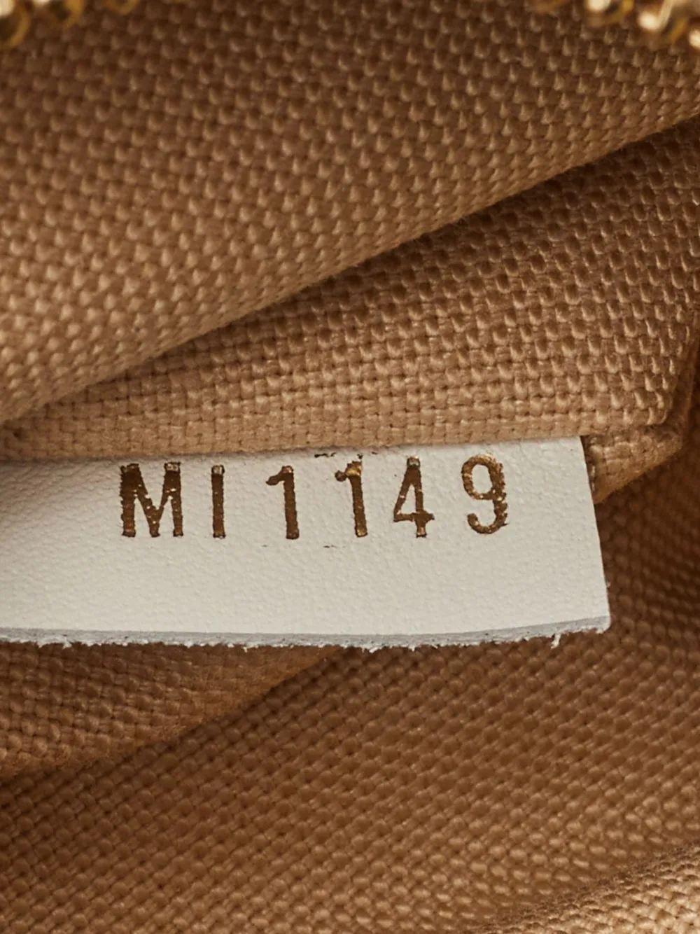 Louis Vuitton Pre-Owned 2019 Monogram-Giant heuptas Groen