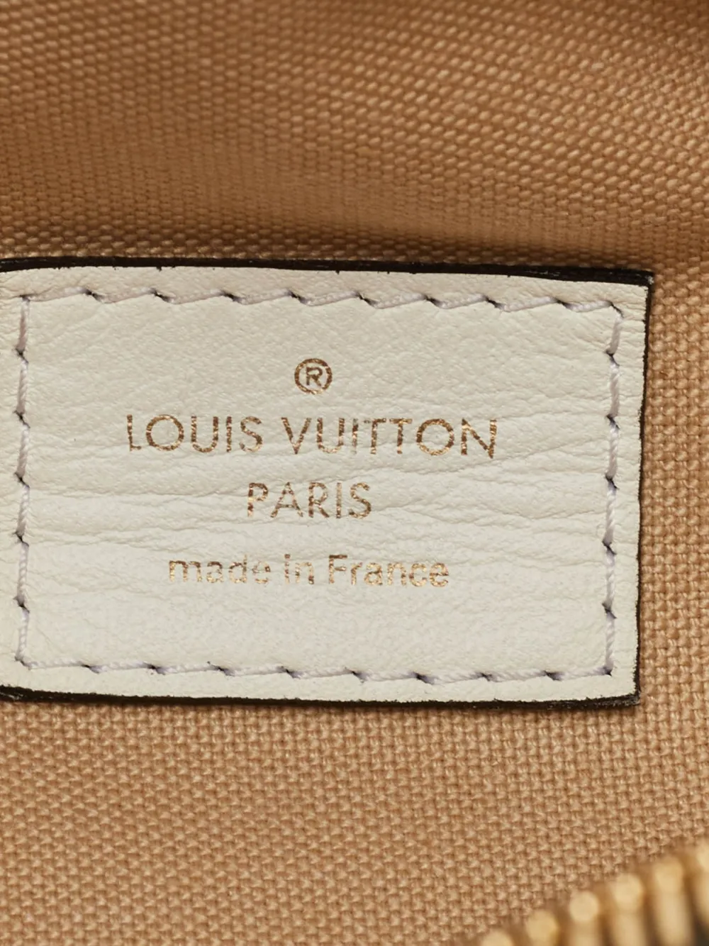Louis Vuitton Pre-Owned 2019 Monogram-Giant heuptas Groen