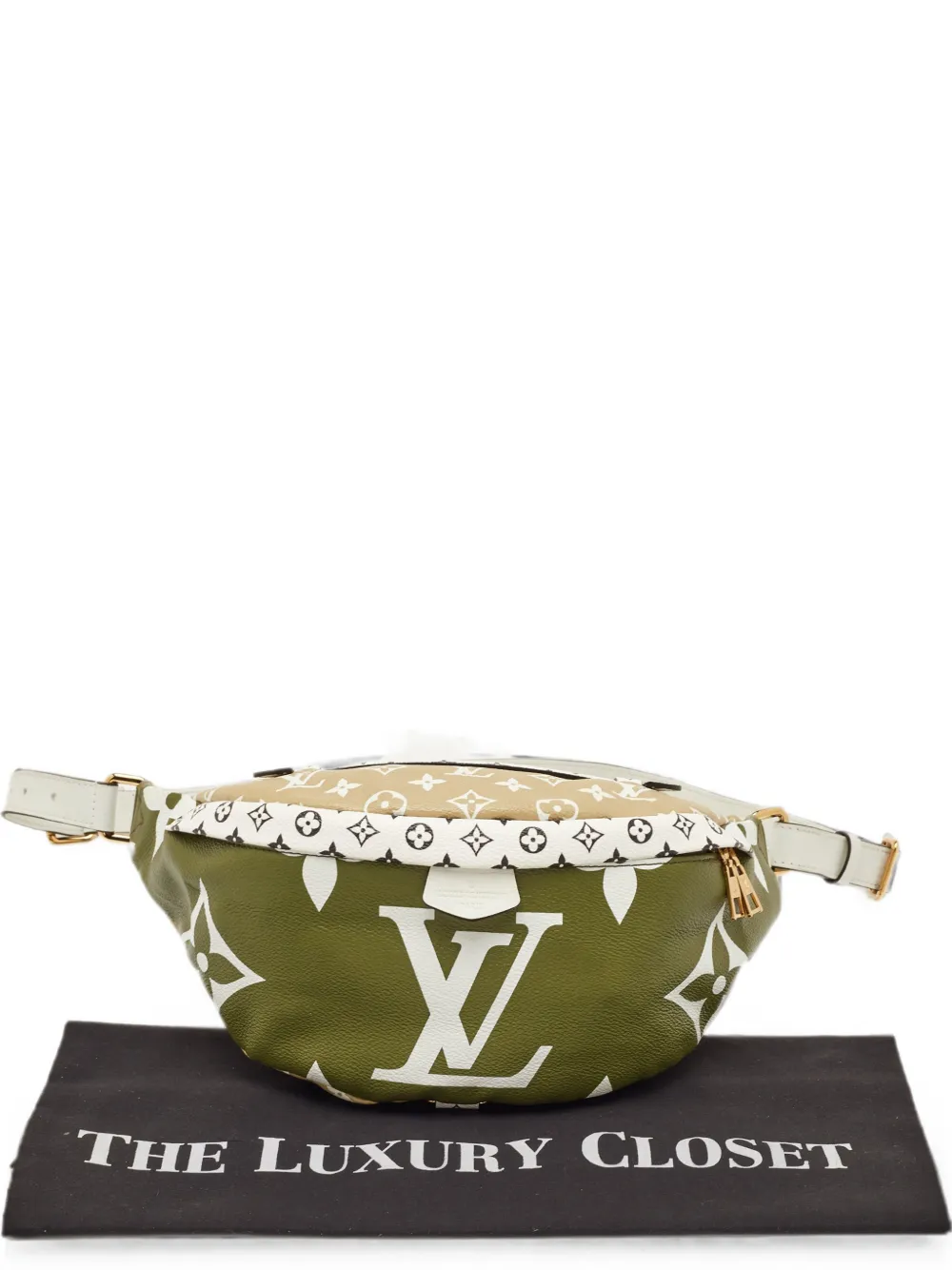 Louis Vuitton Pre-Owned 2019 Monogram-Giant heuptas Groen