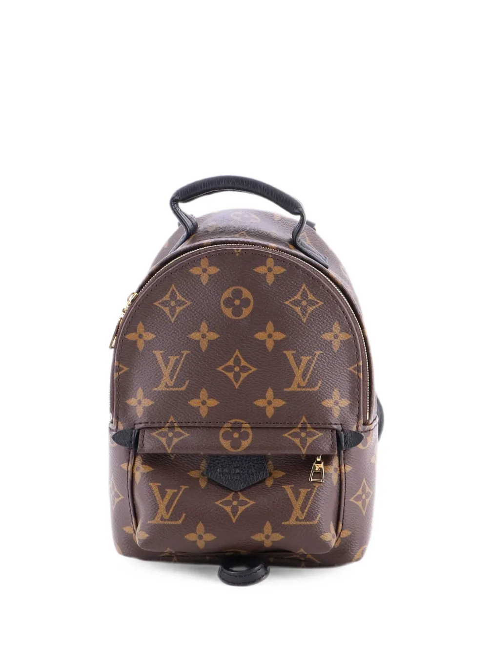 Louis Vuitton Pre-Owned Zaino Palm Springs mini in tela con monogramma - Marrone