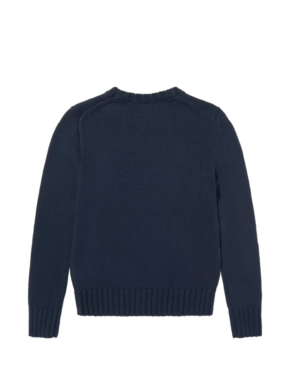 POLO RALPH LAUREN KIDS Gebreide trui met vlag-intarsia Blauw