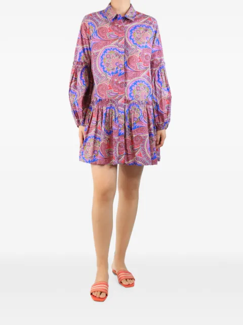 Alexis paisley-print drop-waist dress