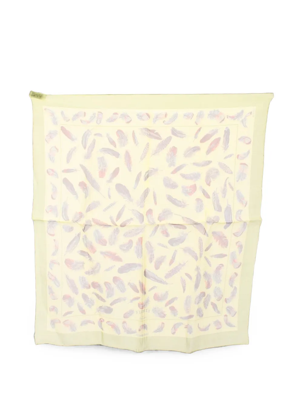 Hermès Pre-Owned 2010s Plumes chiffon scarf - Toni neutri