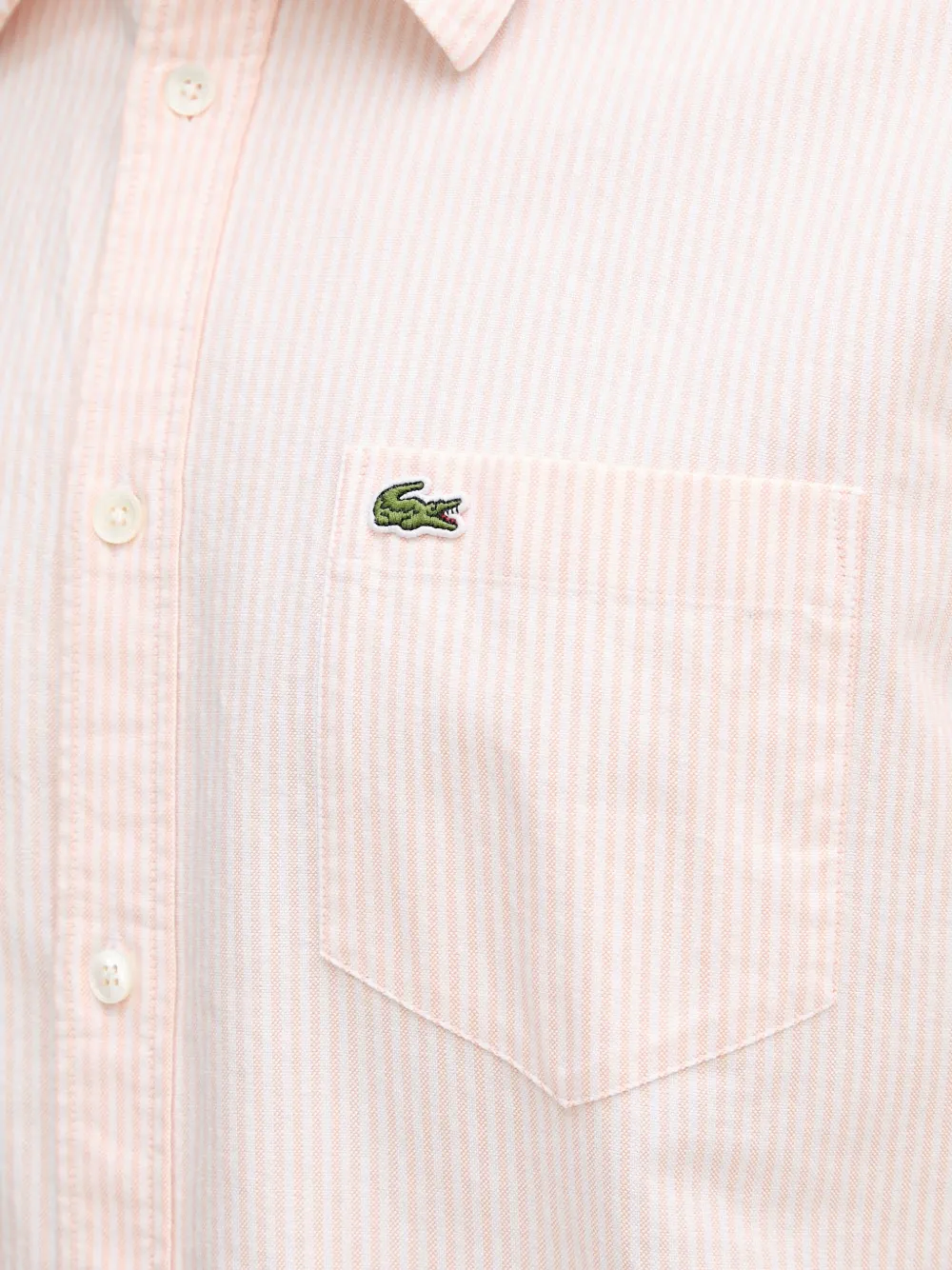 Lacoste Gestreepte overhemd Roze