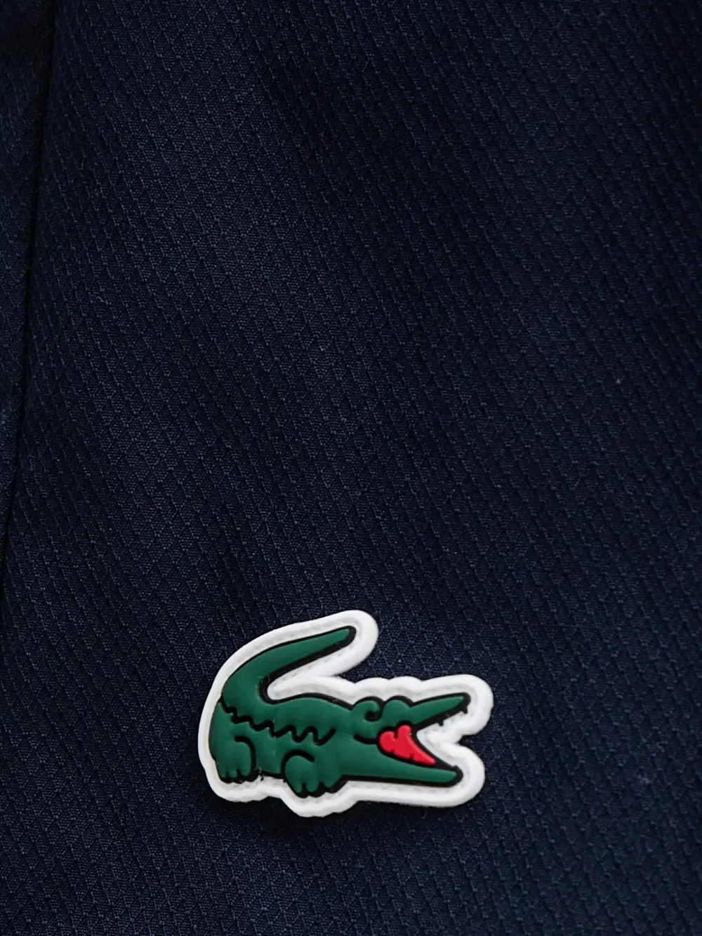 Lacoste Shorts met logopatch Blauw