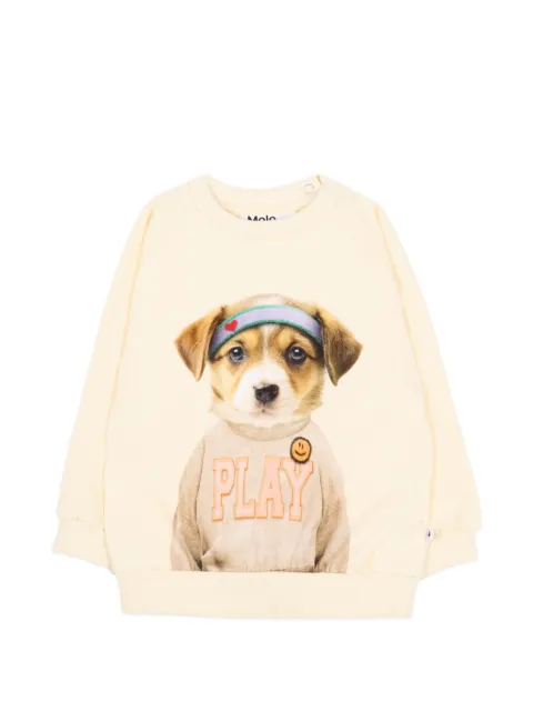 Molo Game Pup sweater