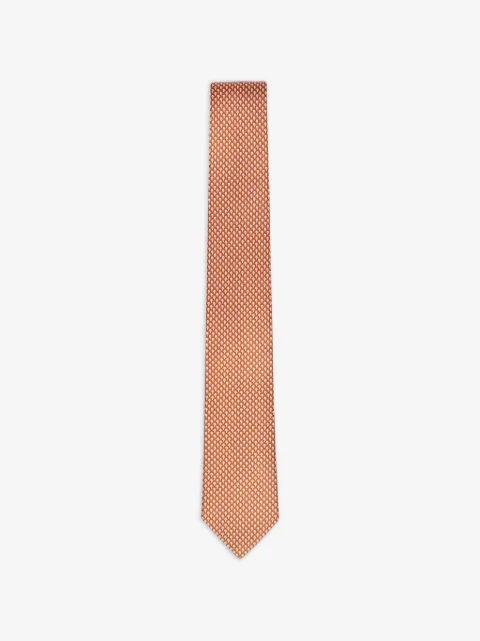 Ferragamo silk tie