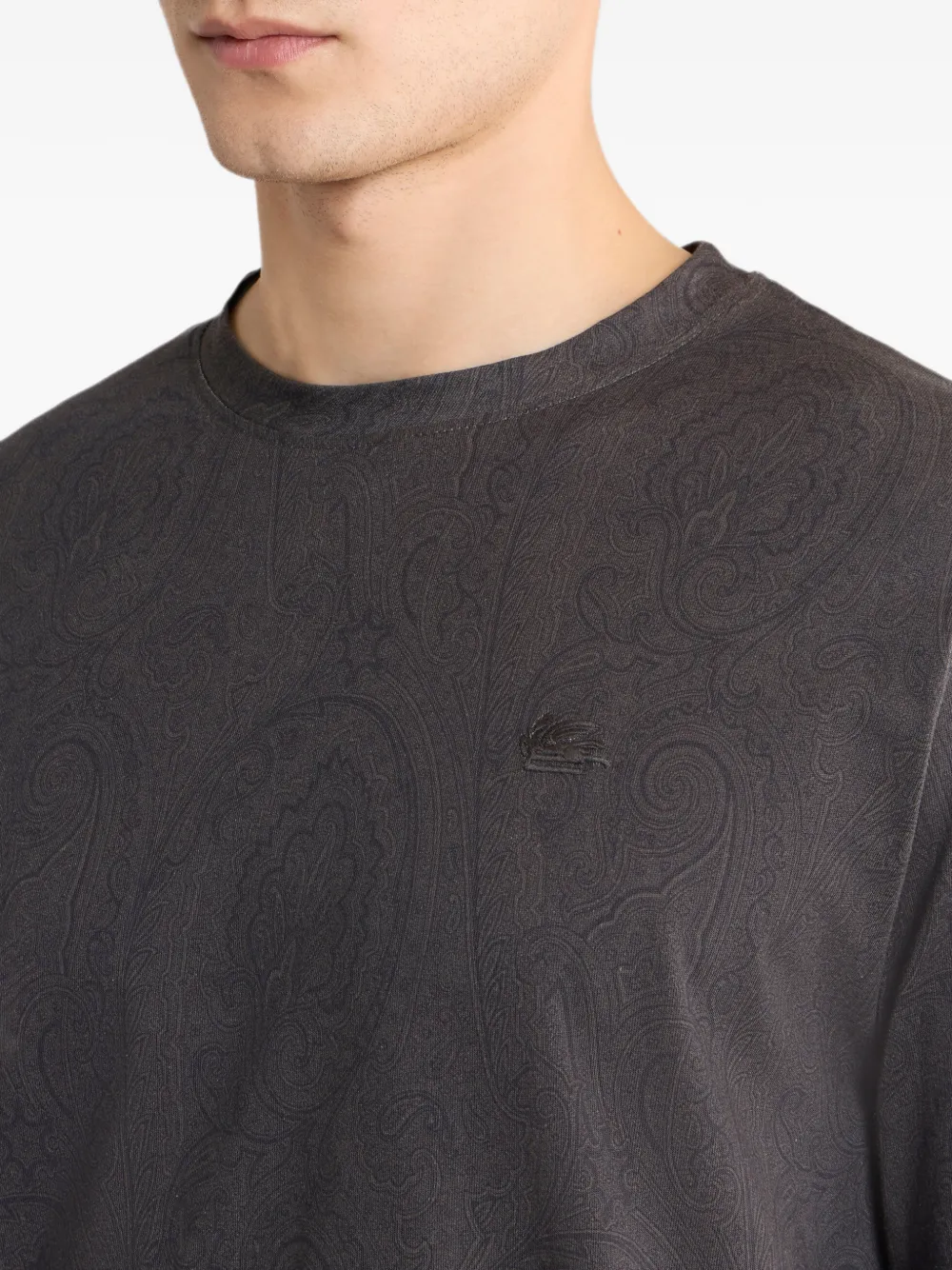 ETRO Katoenen jersey trui met Arnica-motief Grijs