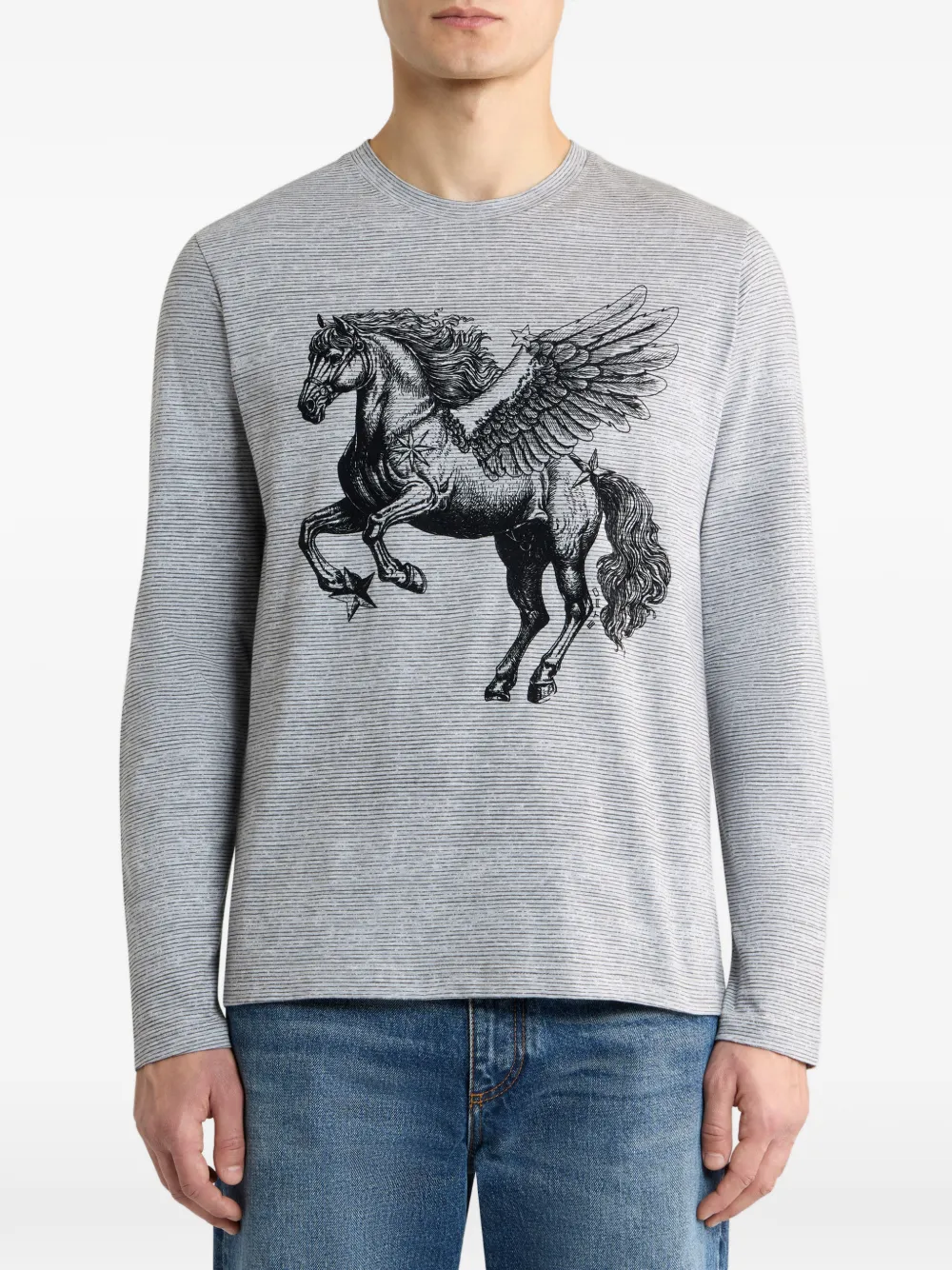 ETRO Katoenen trui met Pegaso-print Grijs