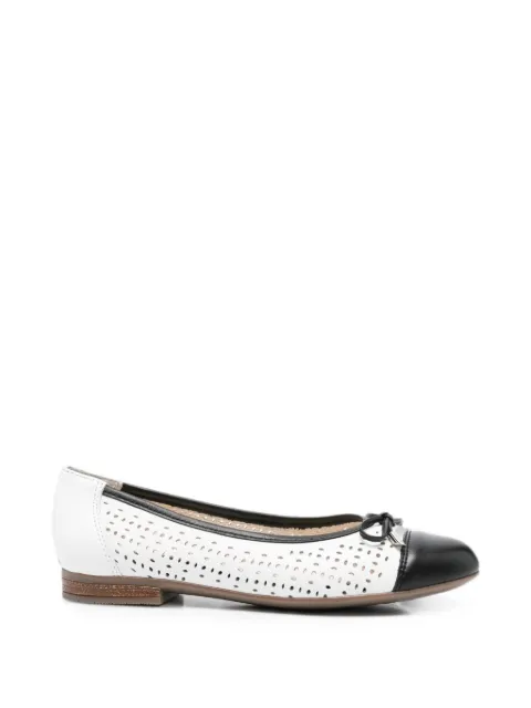 ARA flats con detalle de perforaciones