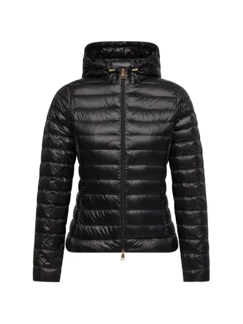 Moncler Igelhood short down jacket