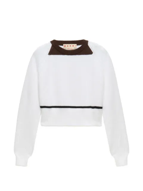 Marni raglan-sleeve sweater