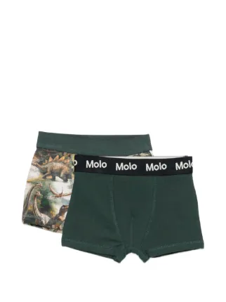 Molo