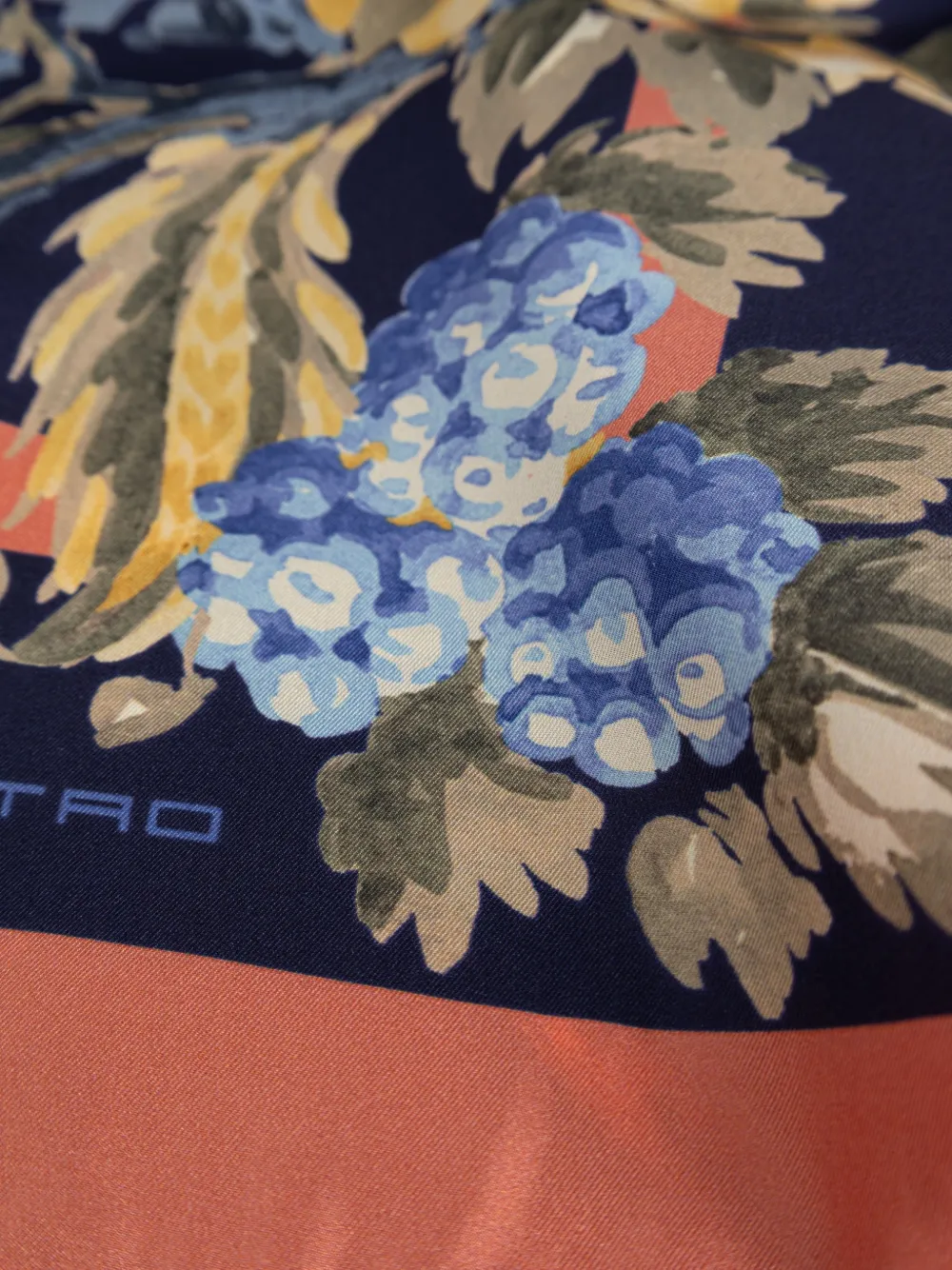 ETRO Sjaal met bloemenprint Blauw