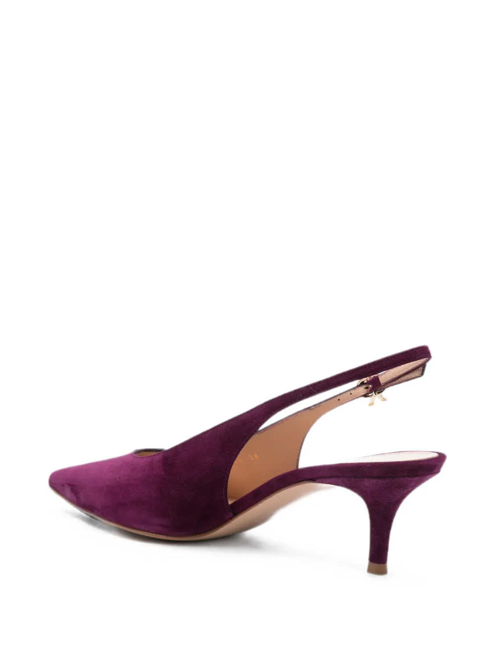 Gianvito Rossi Robbie pumps Paars