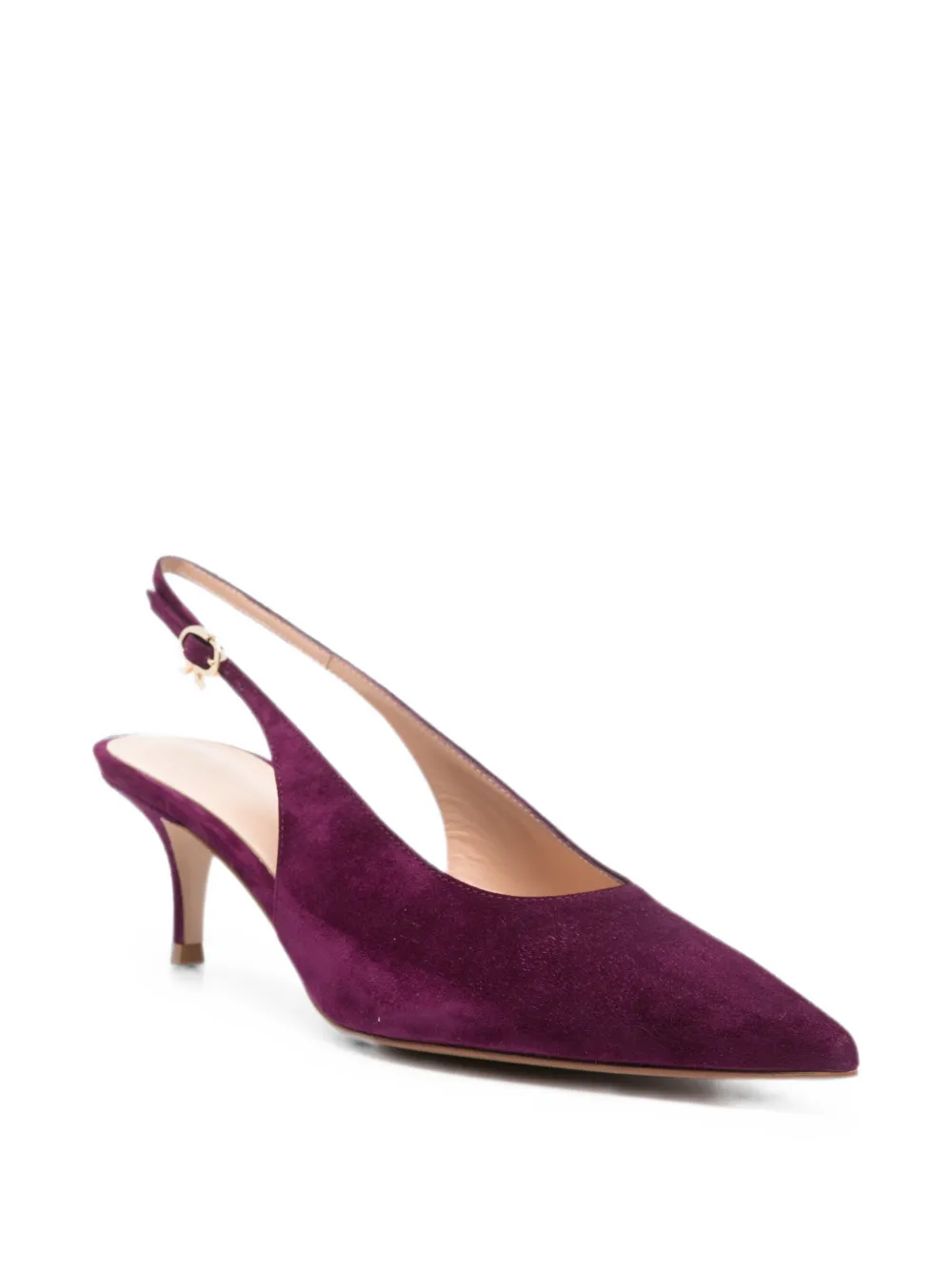 Gianvito Rossi Robbie pumps Paars