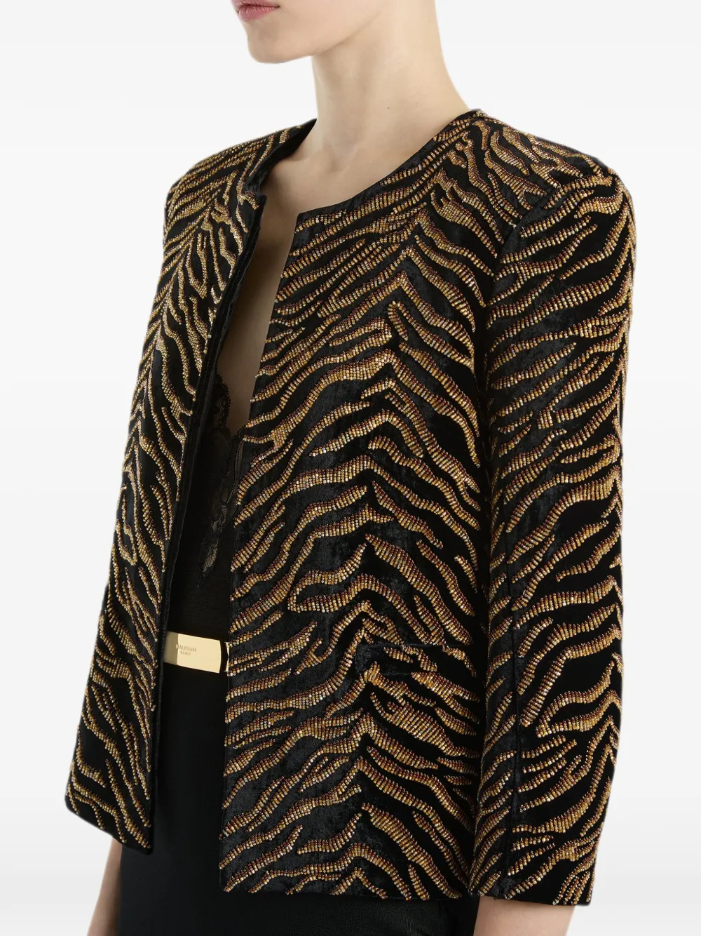 Balmain Fluwelen jack met geborduurde tijger Zwart