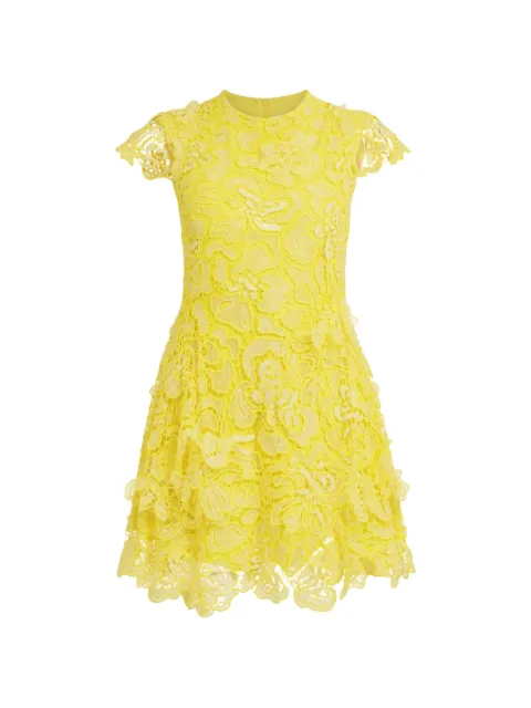 Simkhai Novelle lace mini dress