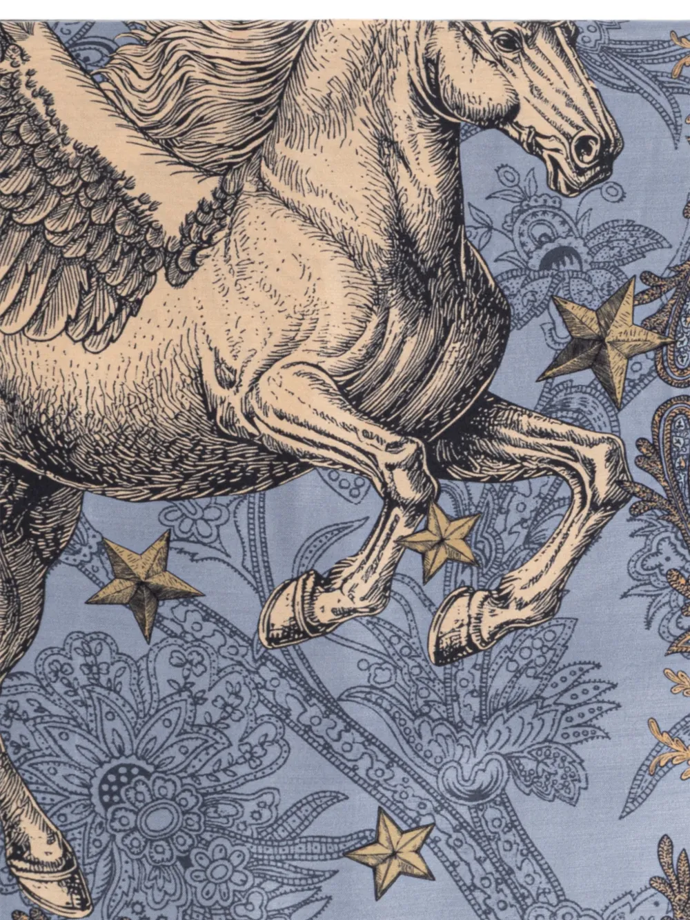 ETRO Pegasus sjaal met paisley print Blauw