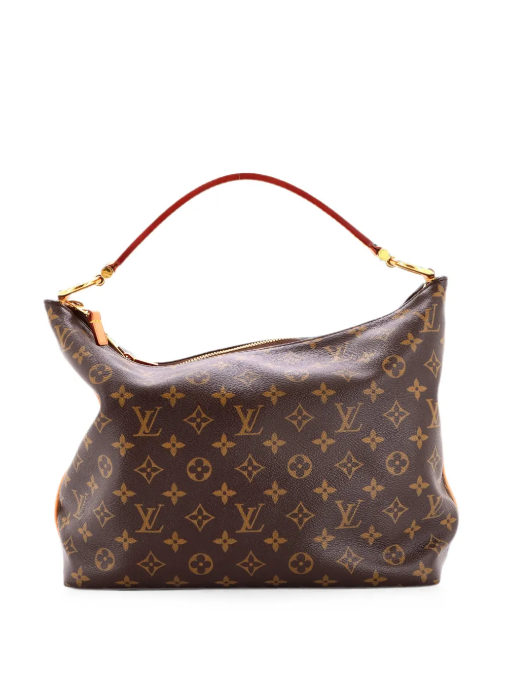 Louis Vuitton Pre-Owned Borsa passepartout Sully PM in tela con monogramma - Marrone