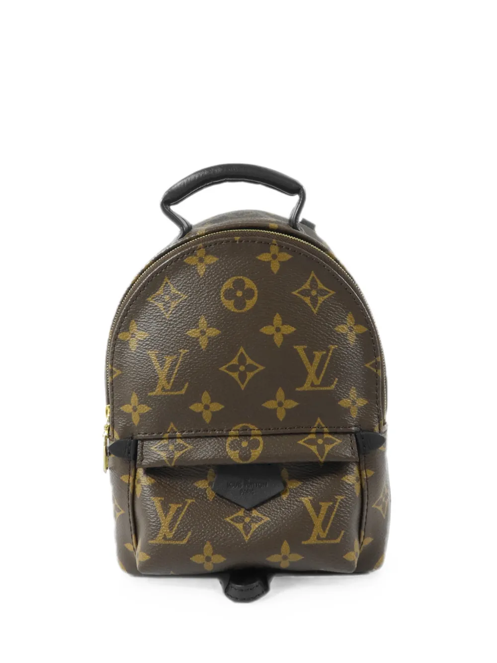 Louis Vuitton Pre-Owned Zaino Palm Springs mini - Marrone