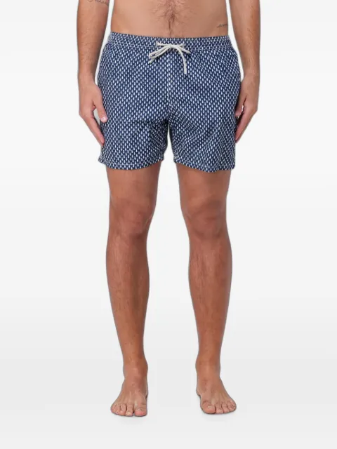 MC2 Saint Barth shorts de playa con pescados estampados