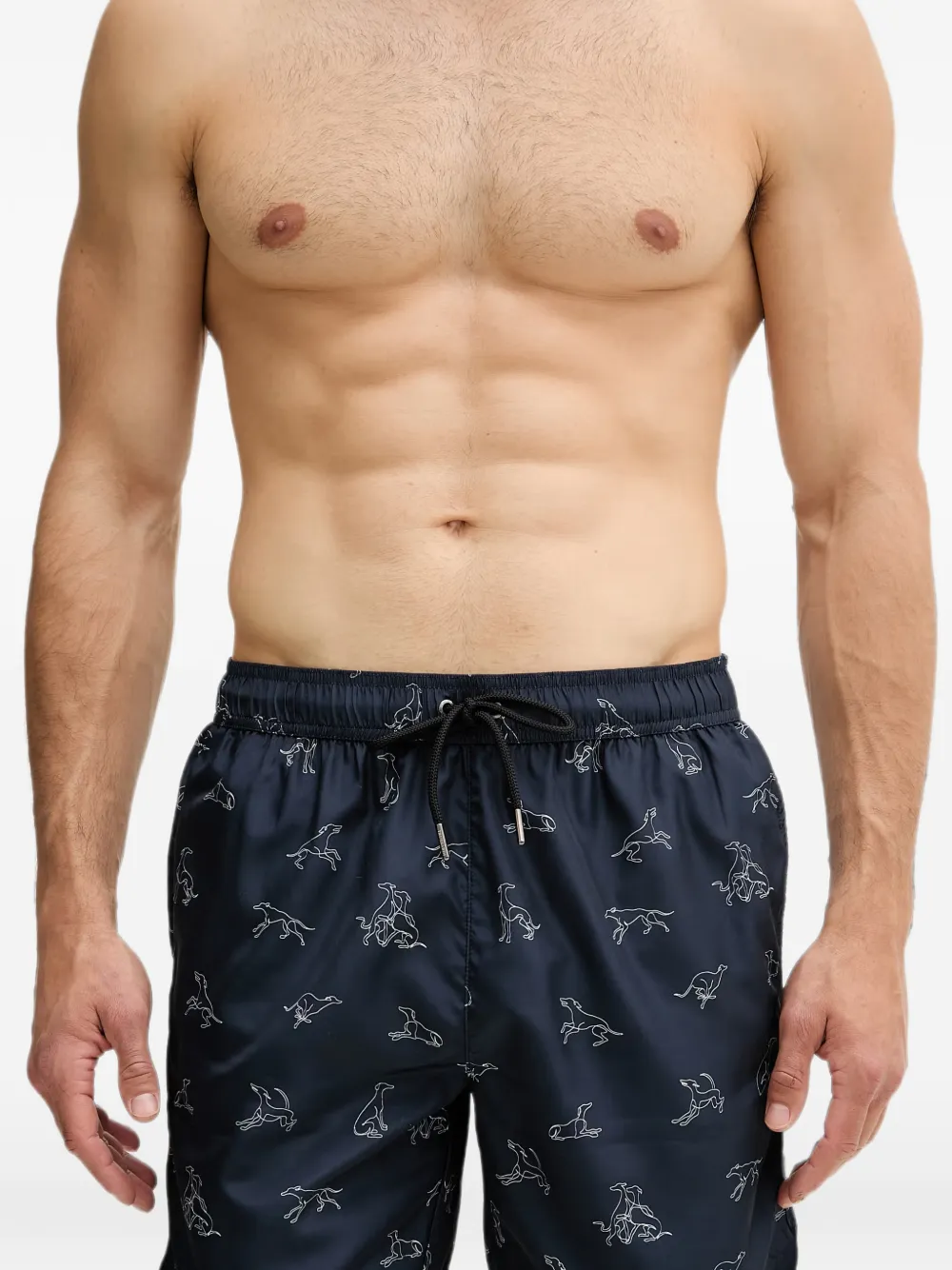Trussardi Zwembroek met trekkoord en windhond-print Blauw