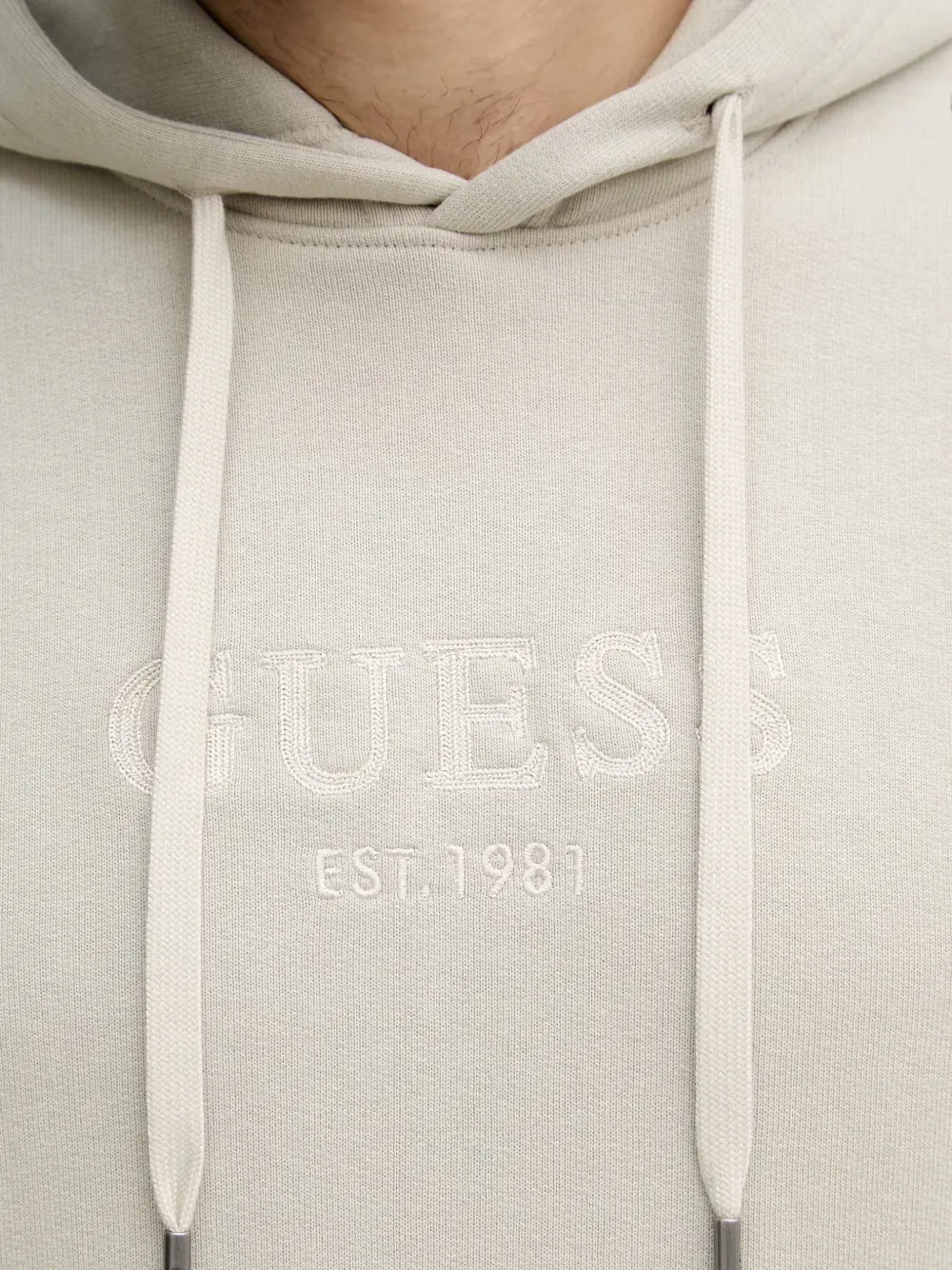 GUESS USA Sweater met capuchon Grijs