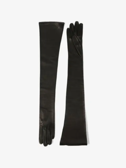 Petar Petrov The Opera long-length gloves