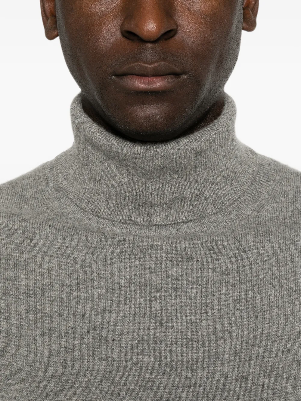 Bompard Turtleneck Sweater In Multi