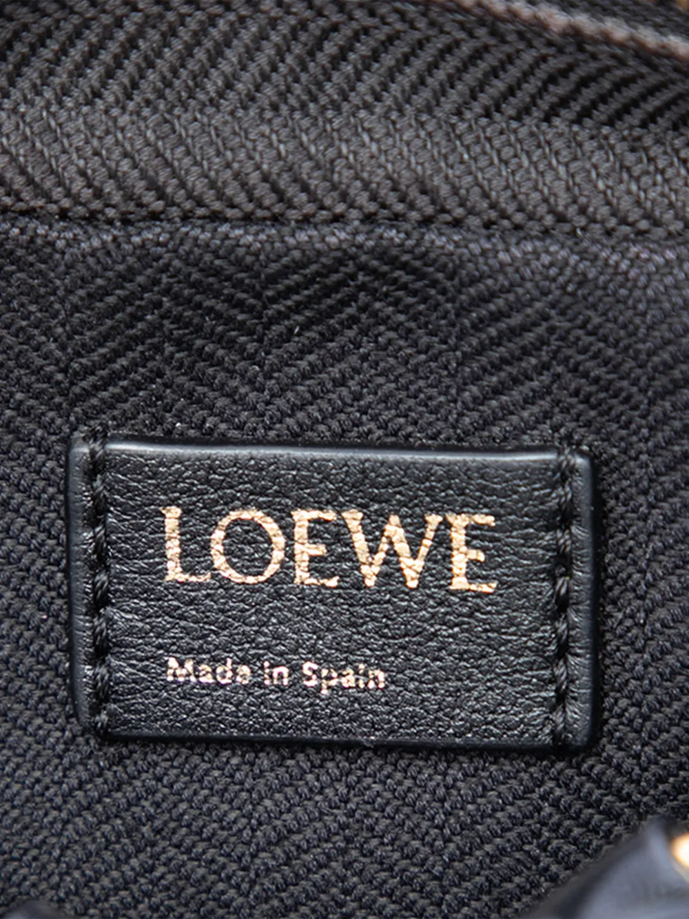 Loewe Pre-Owned 2021 ナノ アナグラム キャンバス アマソナ