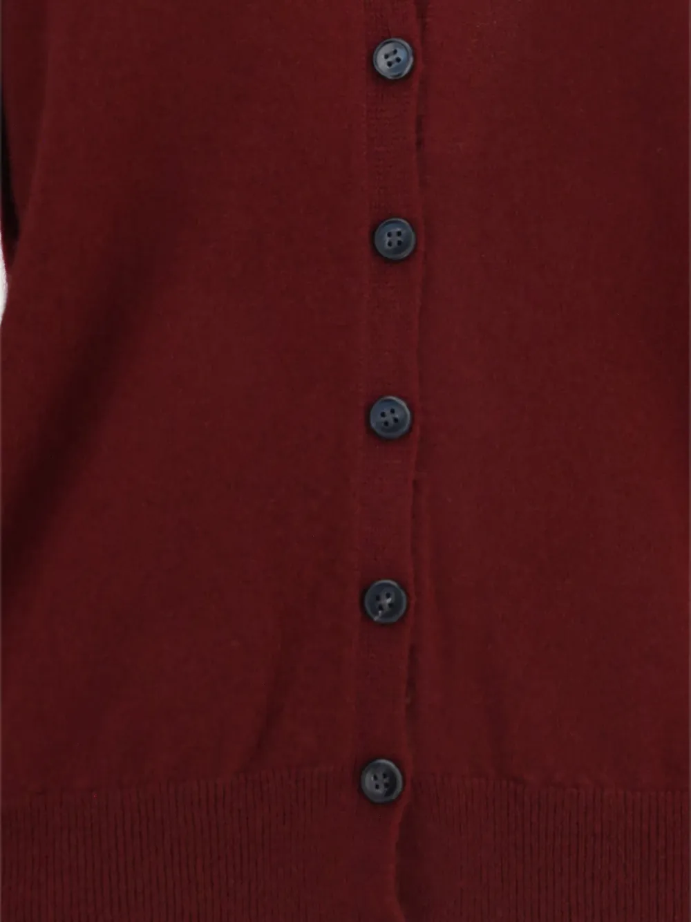 Lisa Yang Jiani vest met V-hals Rood