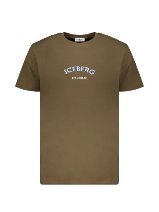 Iceberg