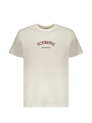 Iceberg