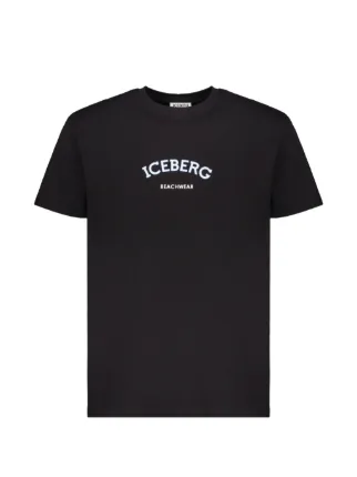 Iceberg