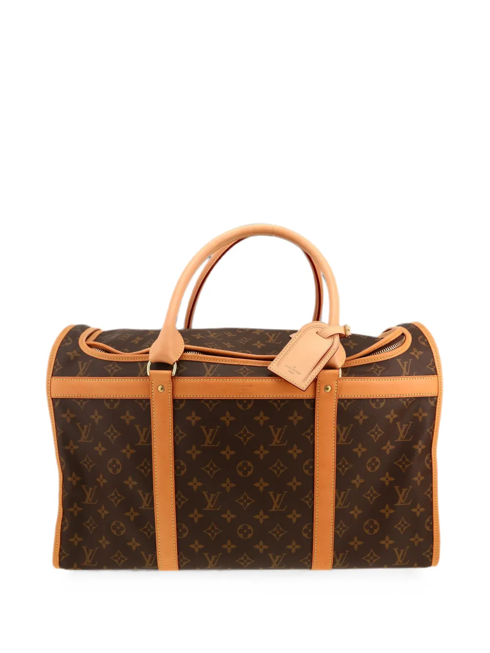 Louis Vuitton Pre-Owned 2020 Monogram Dog 50 travel bag - Marrone